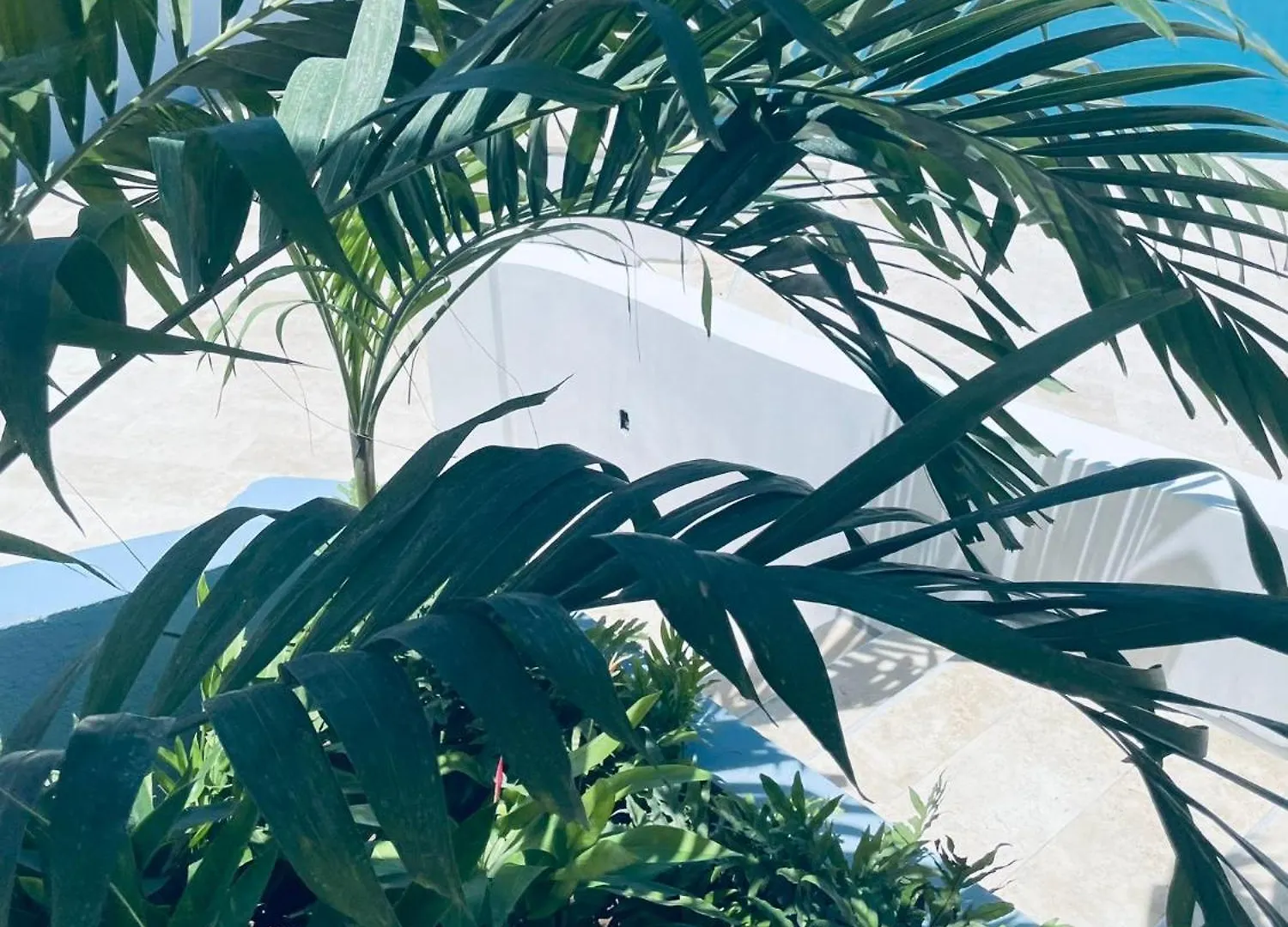 Atelier Skalo Boutique Hotel Willemstad